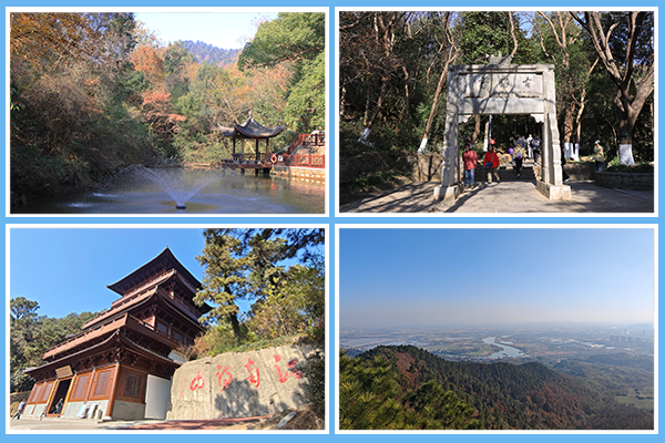 圖片1(5).png
